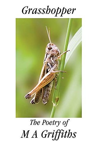 Grasshopper