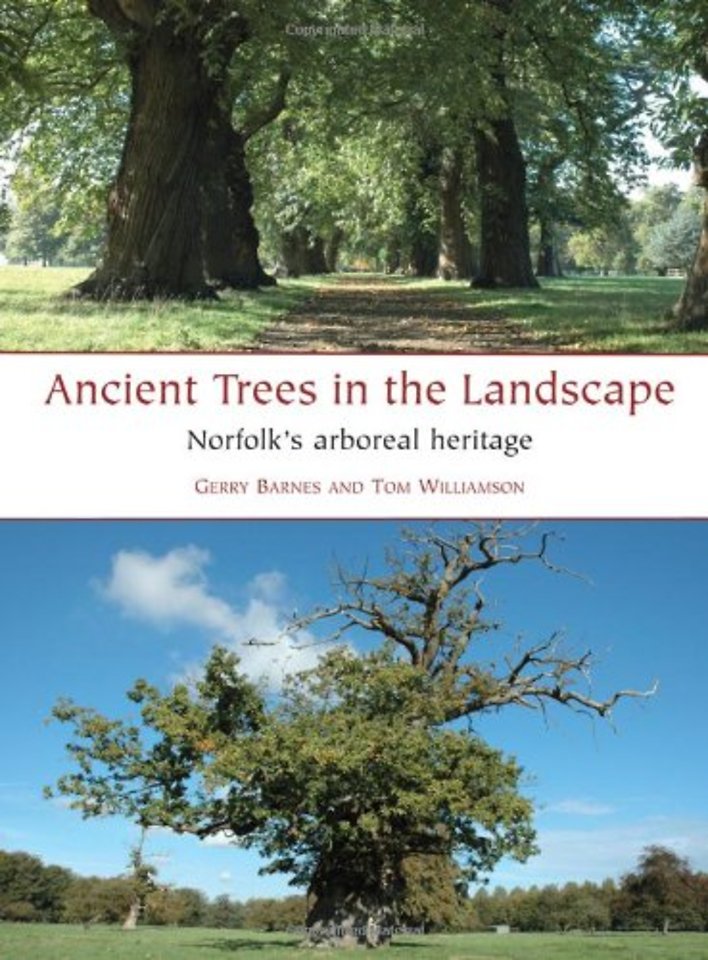 Ancient Trees in the Landscape