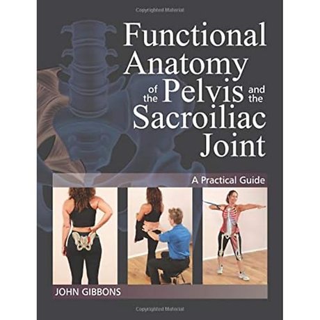 Functional Anatomy of the Pelvis and the Sacroiliac Joint