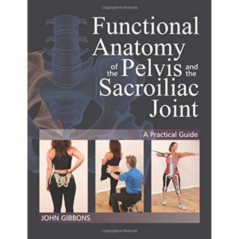 Functional Anatomy of the Pelvis and the Sacroiliac Joint
