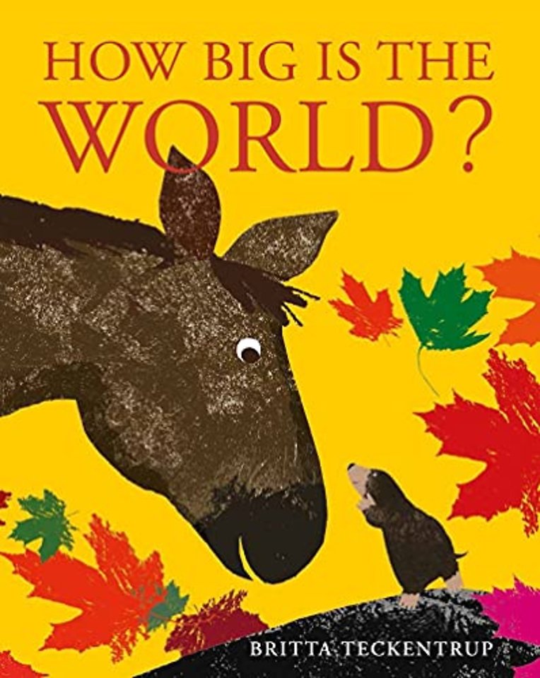 How Big is the World?