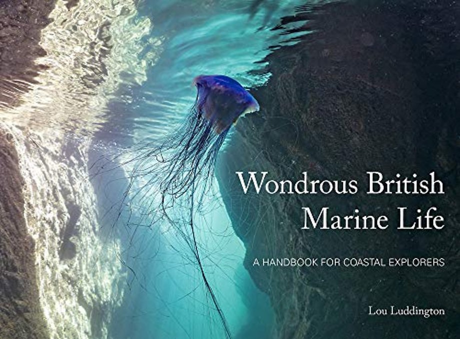 Wondrous British Marine Life
