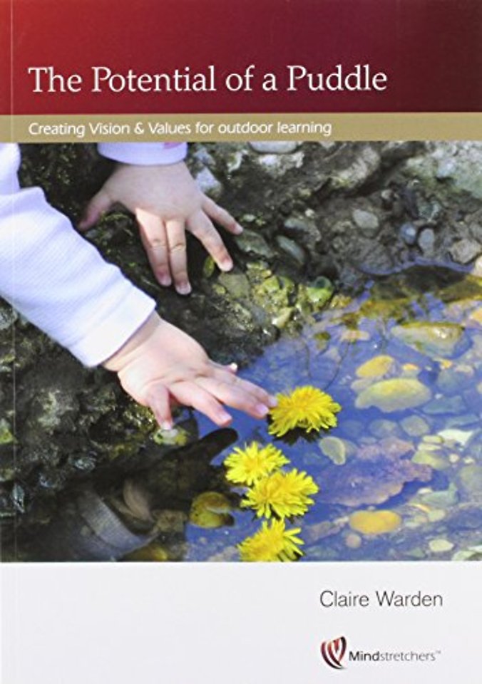 Potential of a Puddle