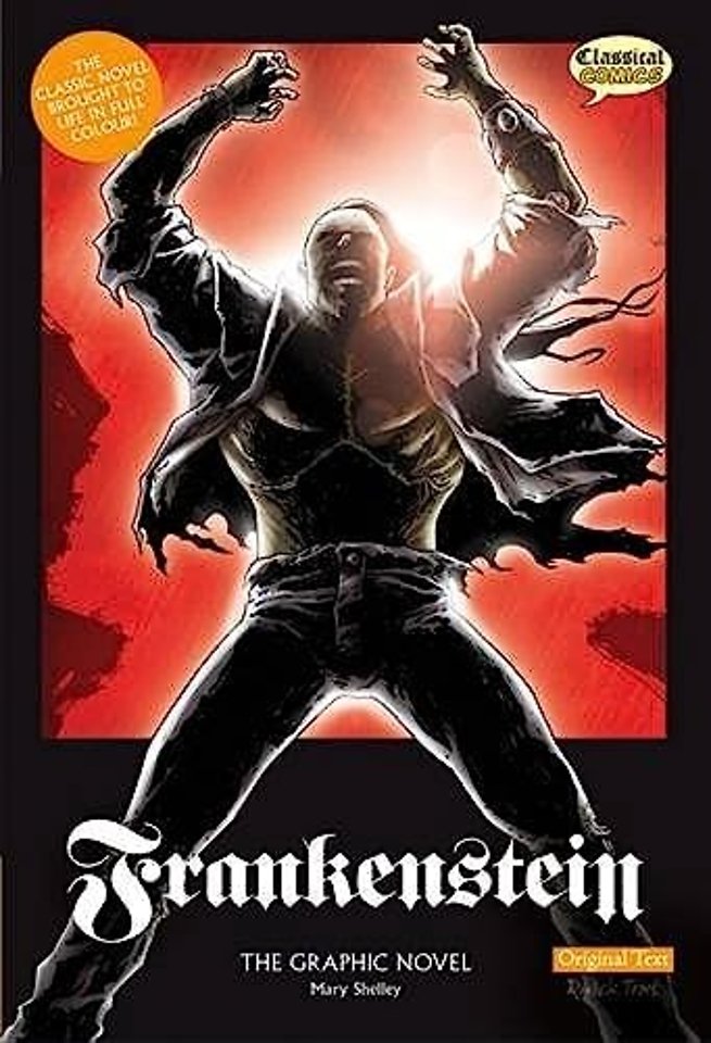Frankenstein The Graphic Novel