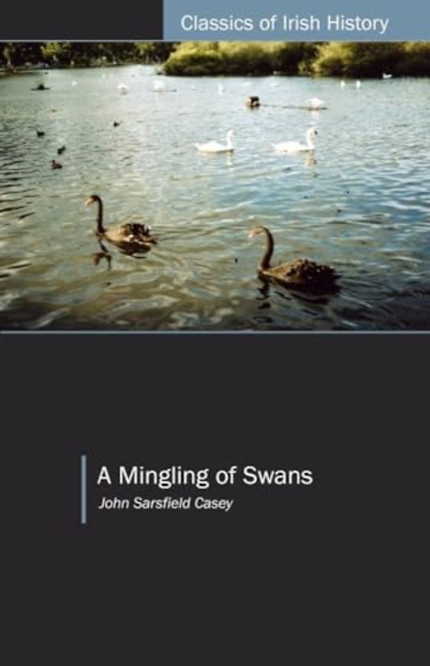 Mingling of Swans