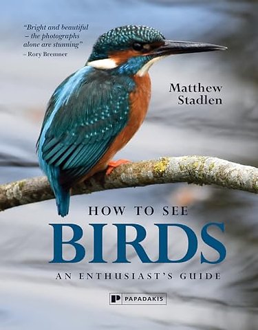 How To See Birds