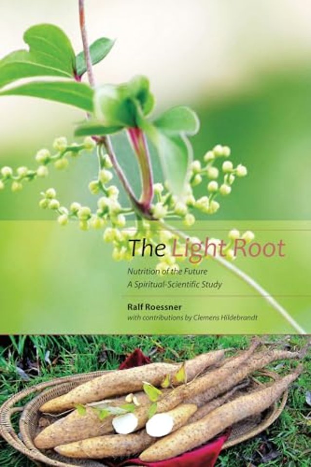The Light Root
