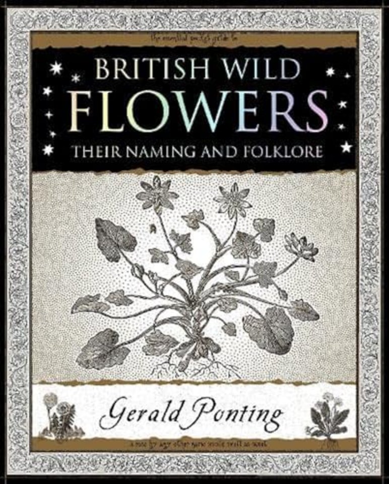 British Wild Flowers