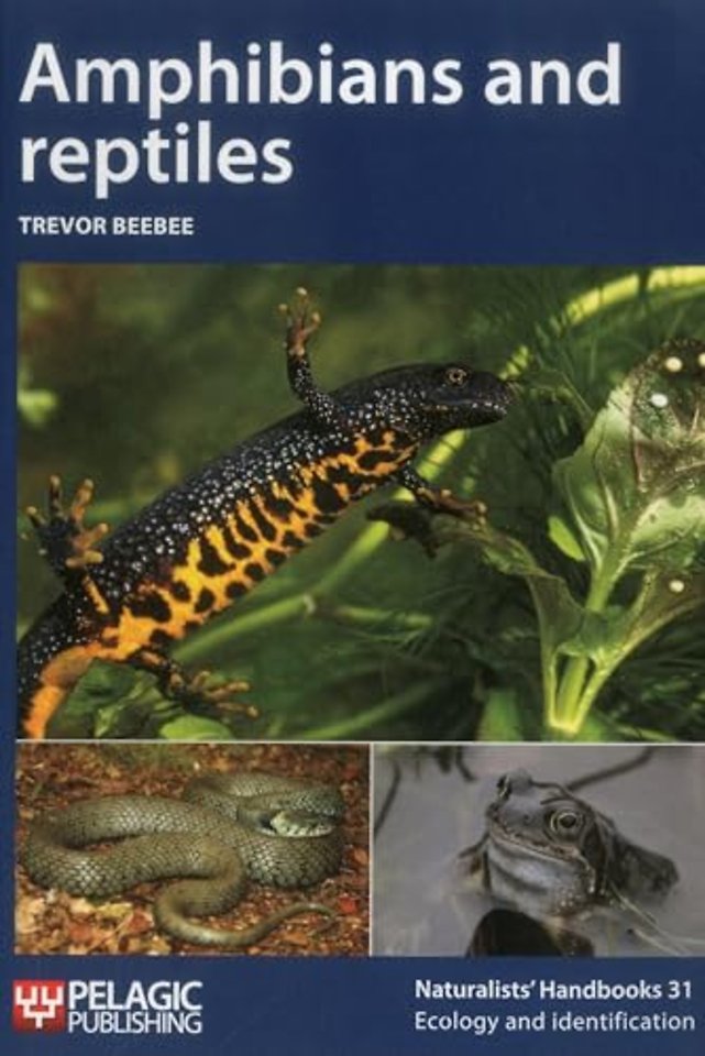 Amphibians and reptiles
