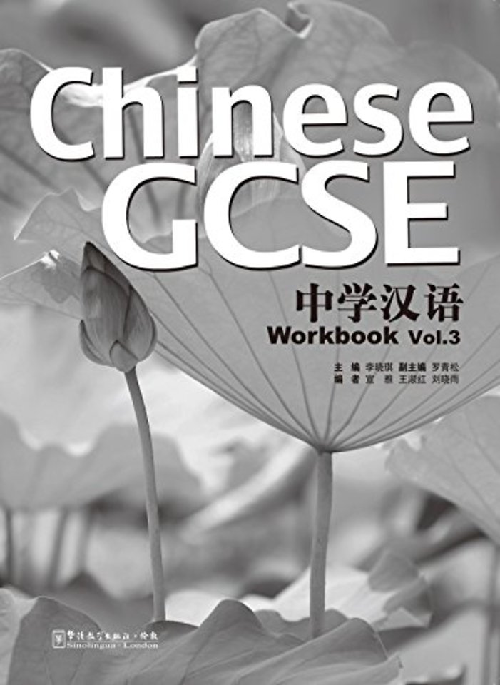 Chinese GCSE Workbook Vol.3