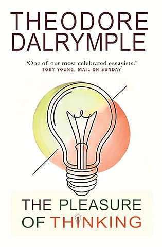 The Pleasure of Thinking