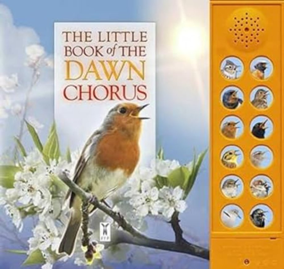 The Little Book of the Dawn Chorus