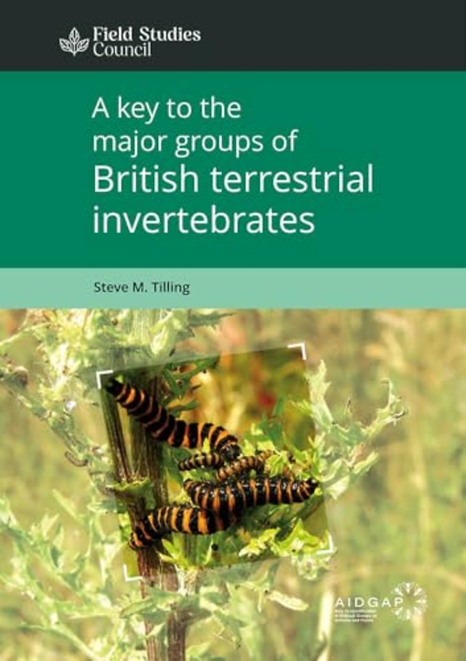 A Key to the Major Groups of Terrestrial Invertebrates