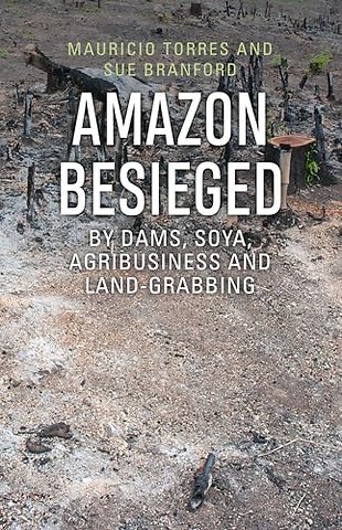 Amazon Besieged