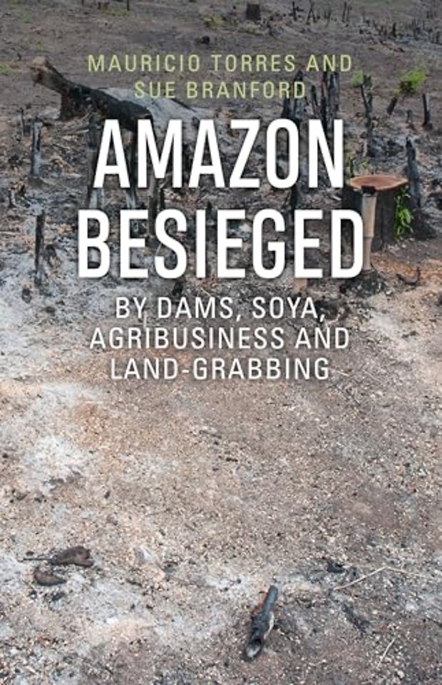 Amazon Besieged