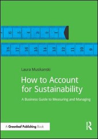 How to Account for Sustainability