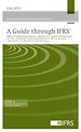 A Guide through IFRS 2015