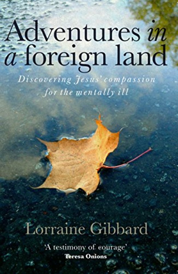 Adventures in a Foreign Land