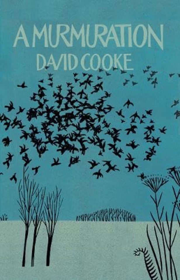 A Murmuration