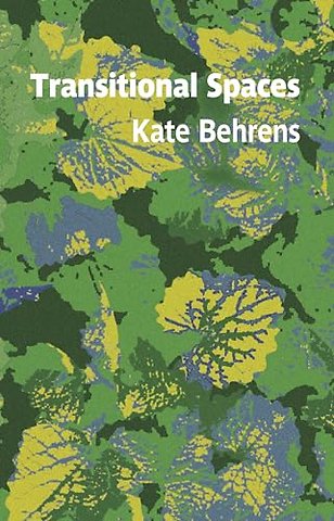 Transitional Spaces