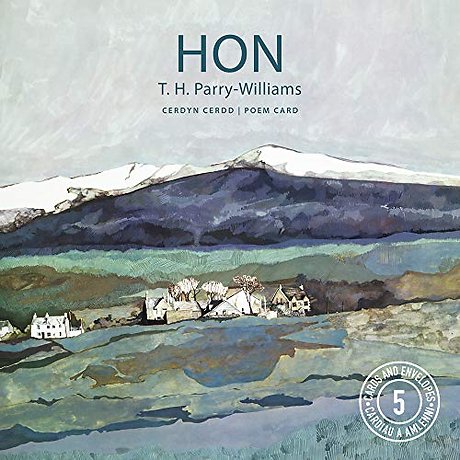 Pecyn Cardiau Cerdd Hon/Hon Poem Cards Pack
