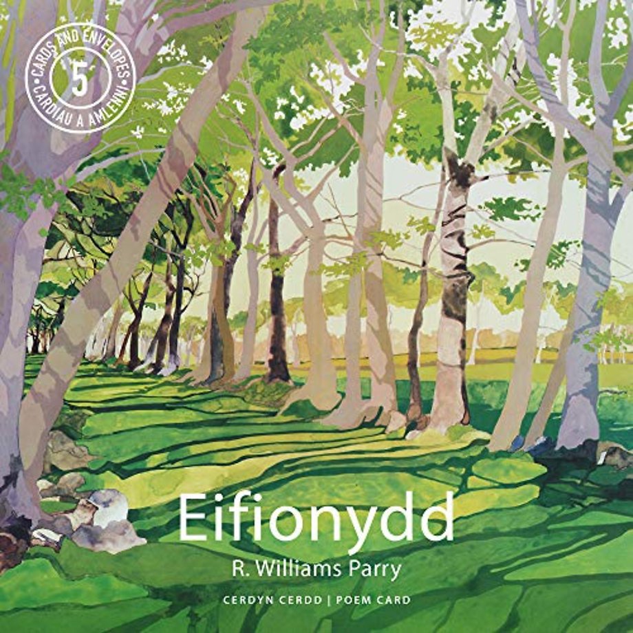 Pecyn Cardiau Cerdd Eifionydd/Eifionydd Poem Cards Pack
