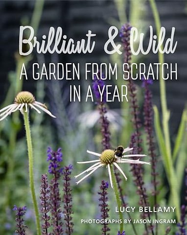 Brilliant and Wild