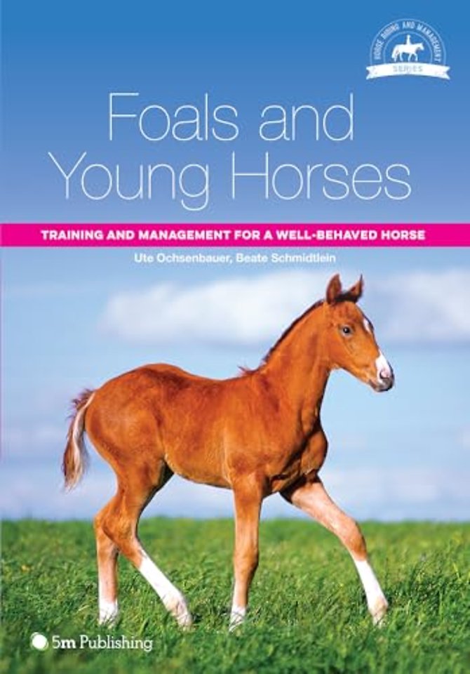 Foals and Young Horses