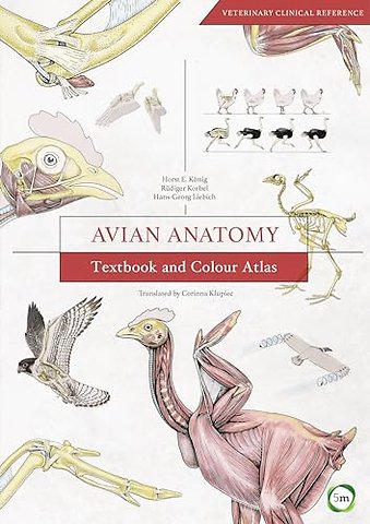 Avian Anatomy 2nd Edition