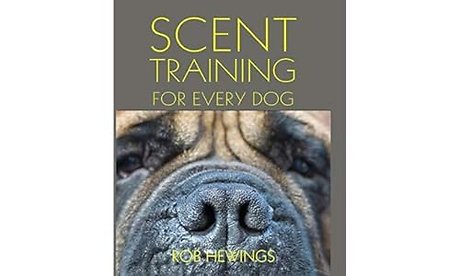Scent Training For Every Dog