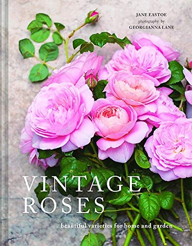 Vintage Roses
