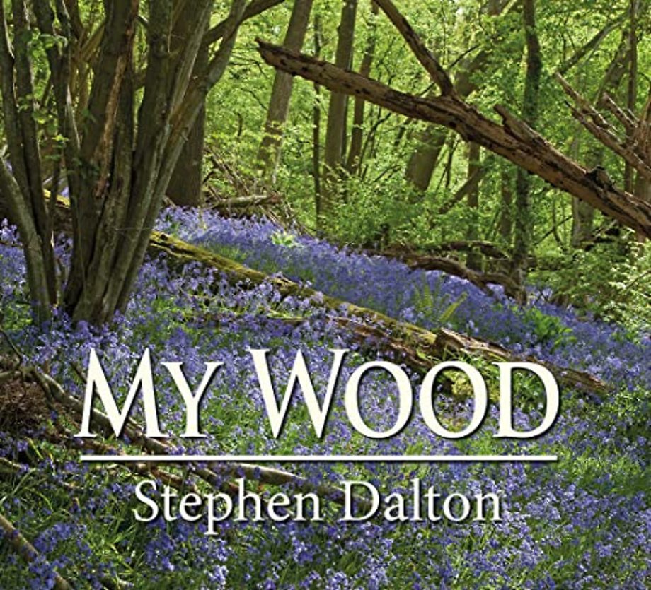 My Wood