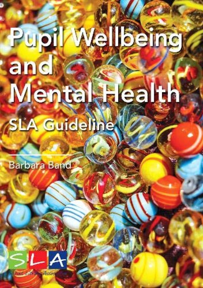 Pupil Wellbeing and Mental Health