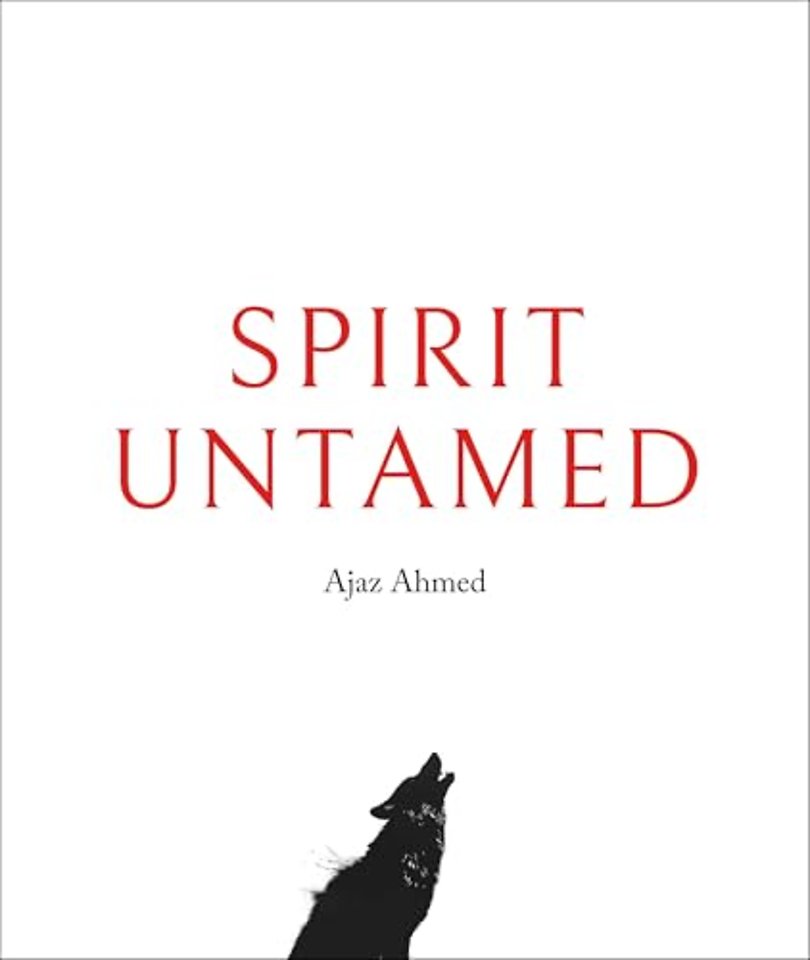 Spirit Untamed