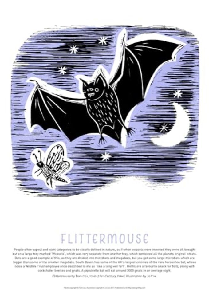 Tom Cox's 21st Century Yokel Poster: Flittermouse