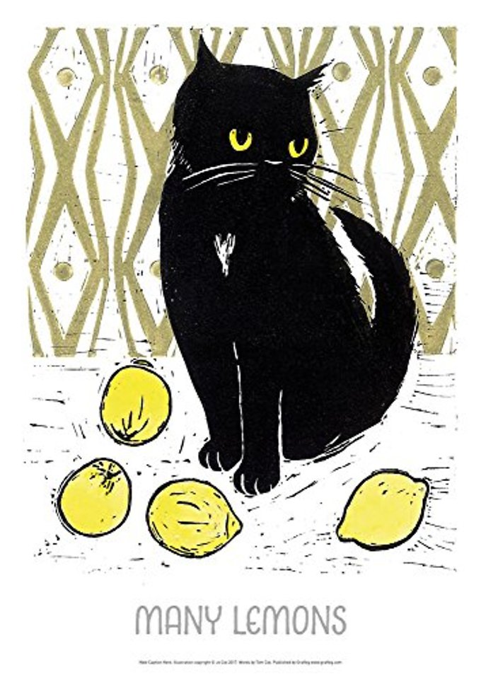 WHEN LIFE GIVES YOU LEMONS