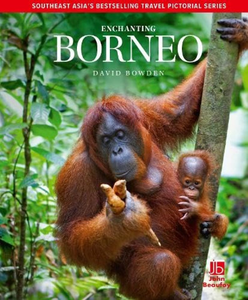 Enchanting Borneo
