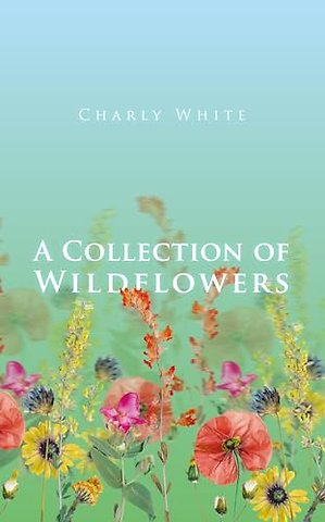 A Collection of Wildflowers