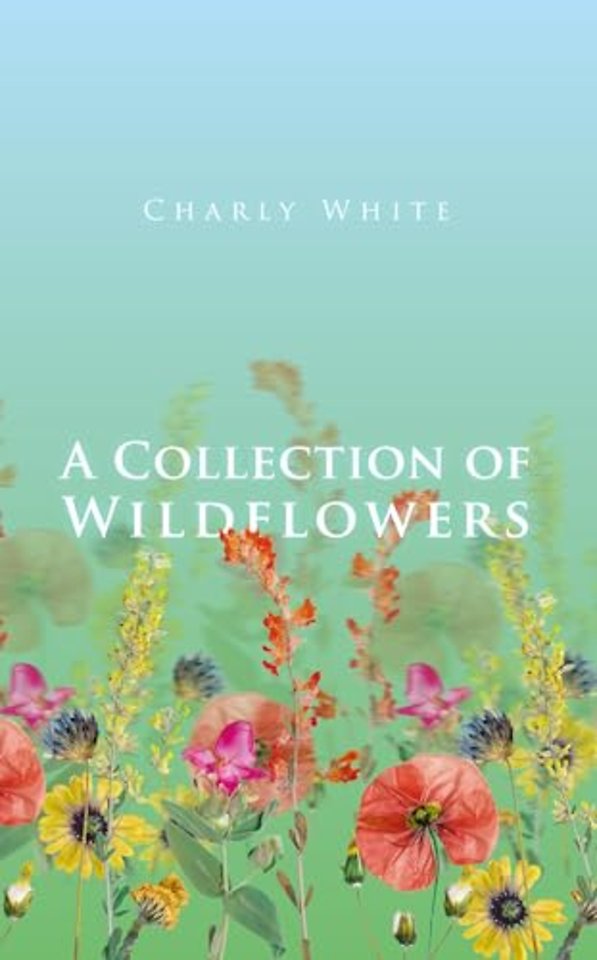 A Collection of Wildflowers
