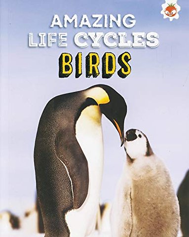 Amazing Life Cycles-Birds