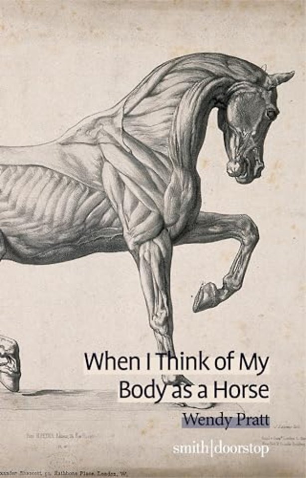 When I Think of My Body as a Horse