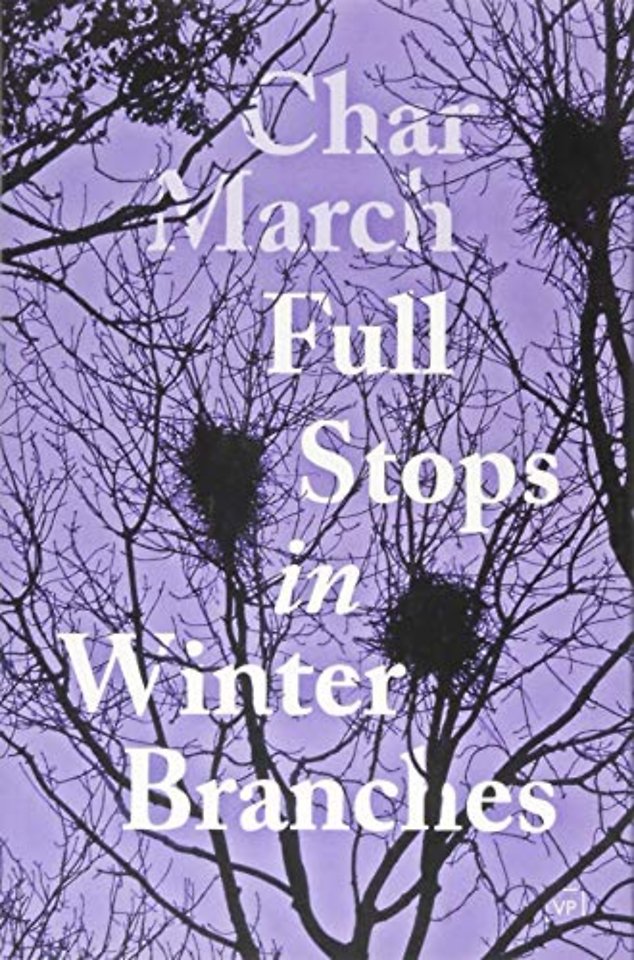 Full Stops in Winter Branches