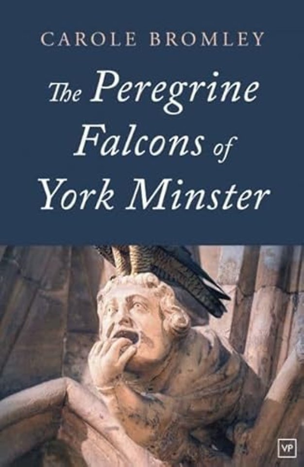 The Peregrine Falcons of York Minster