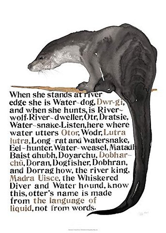 Jackie Morris Poster: Names of the Otter, The