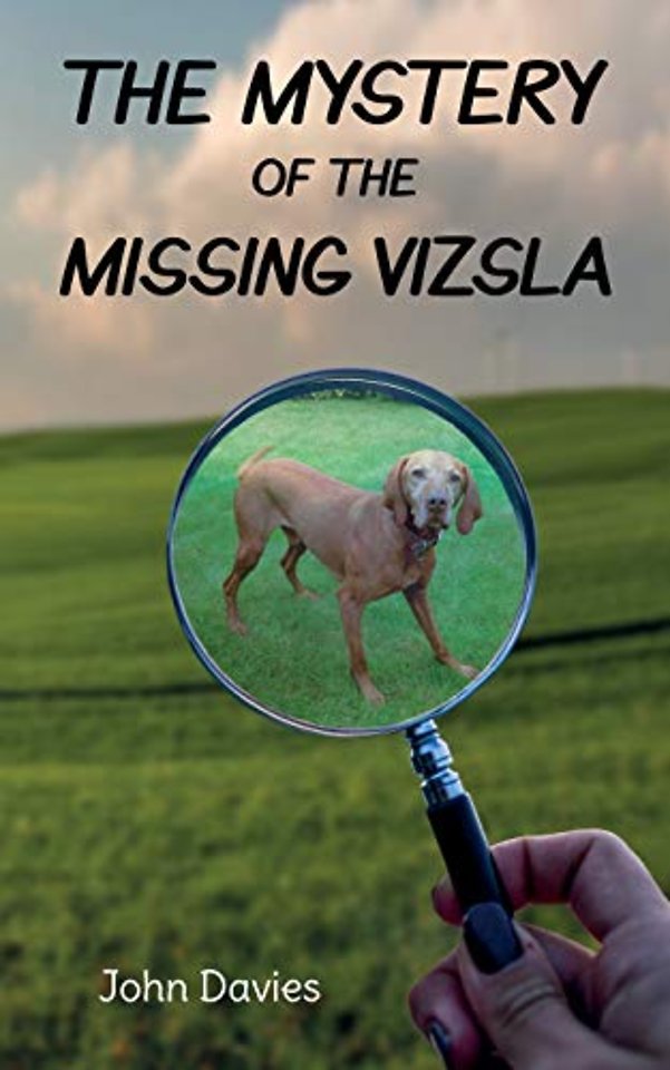 The Mystery of the Missing Vizsla