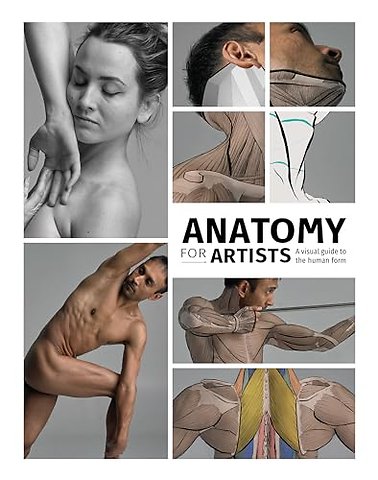 Anatomy for Artists