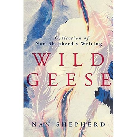 Wild Geese