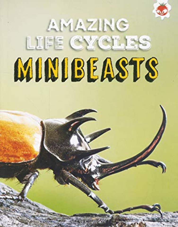 Amazing Life Cycles-Minibeasts