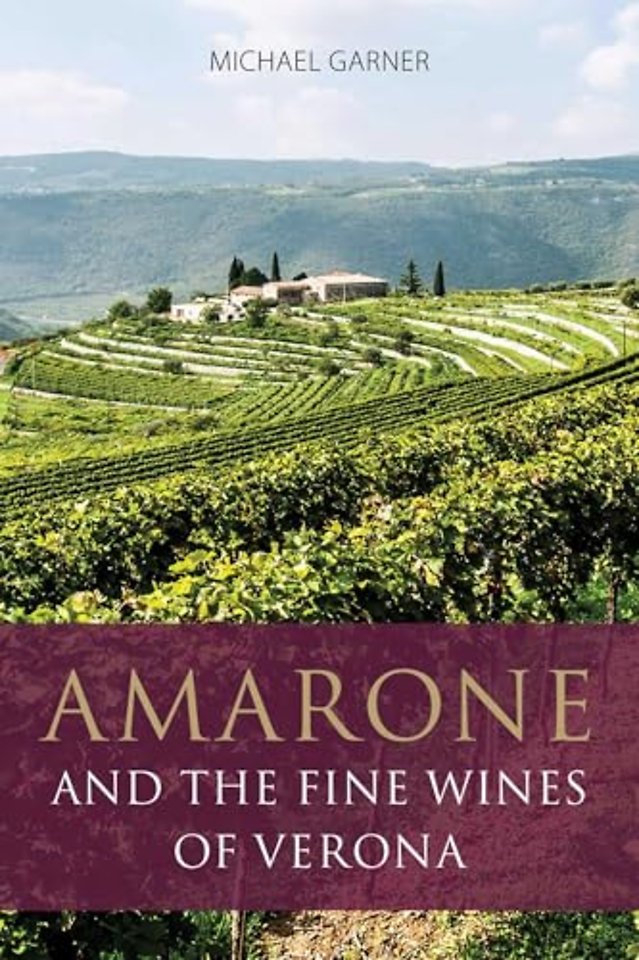 Amarone and the Fine Wines of Verona