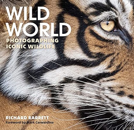 Wild World
